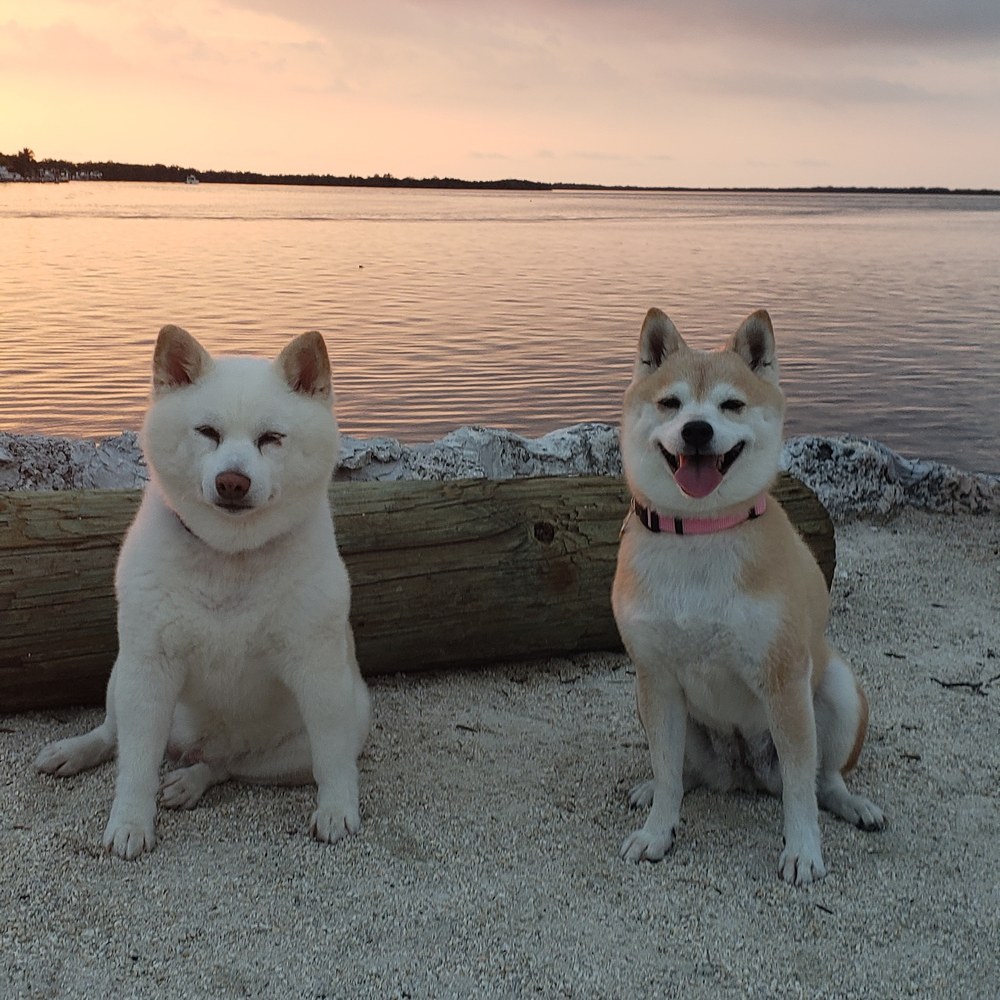 Meet your Posher, Janet